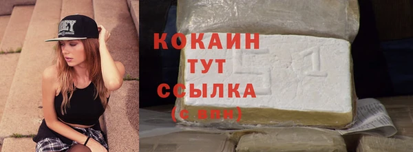 молекула духа Краснослободск