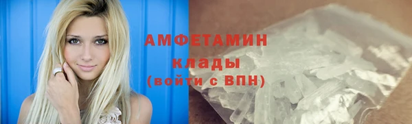 молекула духа Краснослободск