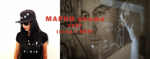 индика Гатчина