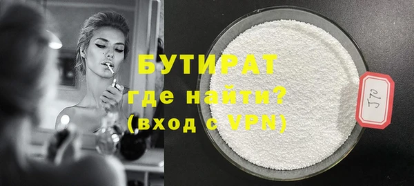 индика Гатчина