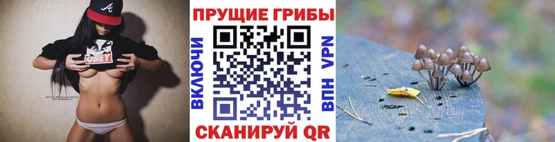 Галлюциногенные грибы GOLDEN TEACHER  Красноперекопск 